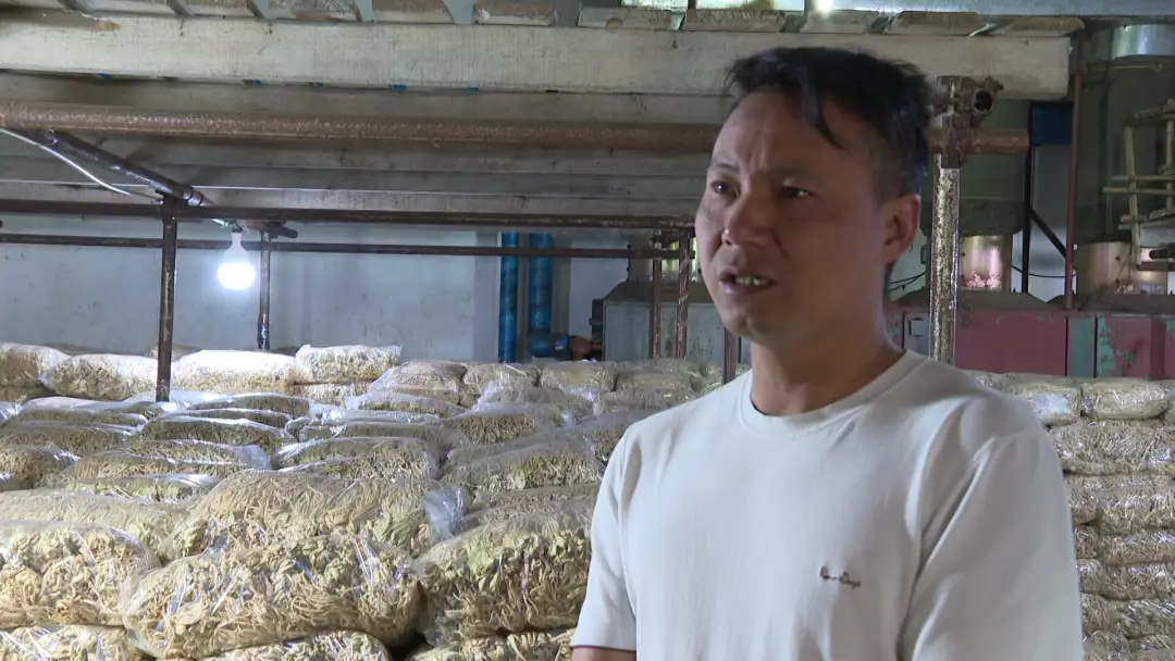 胡萝卜种植技术时间_胡罗卜种植行株距_种植胡萝卜的时间和技术