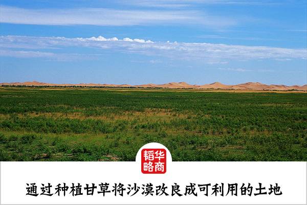 致富经新疆_种草养兔致富故事_种草 致富经南疆