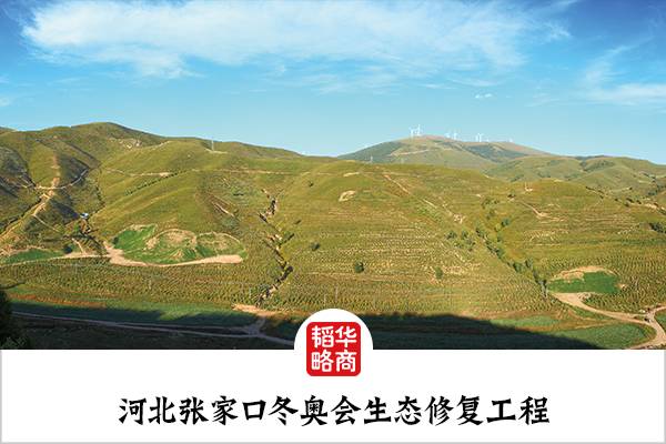 种草养兔致富故事_种草 致富经南疆_致富经新疆