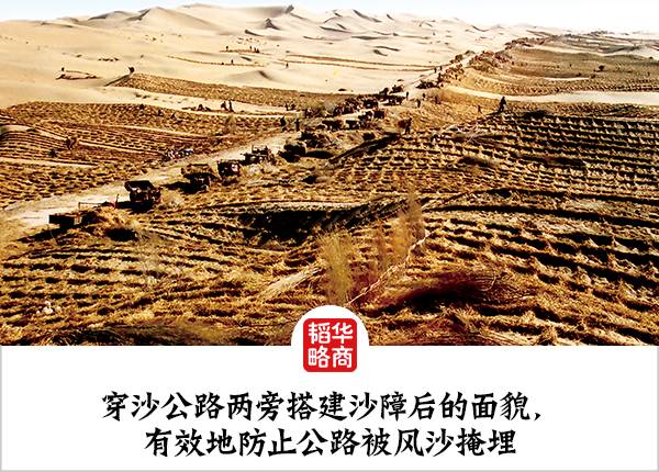 种草养兔致富故事_致富经新疆_种草 致富经南疆
