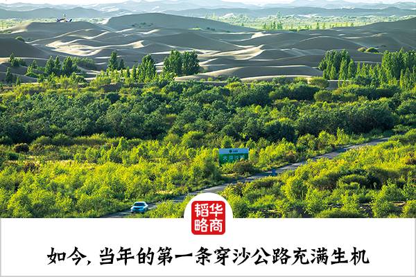 种草 致富经南疆_致富经新疆_种草养兔致富故事