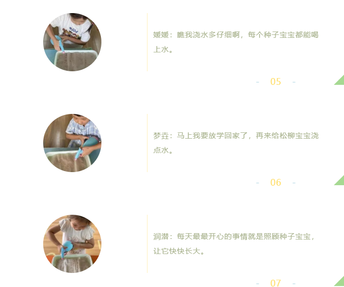 纸上种植芽苗菜致富_致富种植纸上芽苗菜怎么种_如何纸上种芽菜