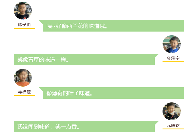 如何纸上种芽菜_致富种植纸上芽苗菜怎么种_纸上种植芽苗菜致富