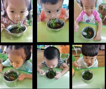 纸上种植芽苗菜致富_如何纸上种芽菜_致富种植纸上芽苗菜怎么种