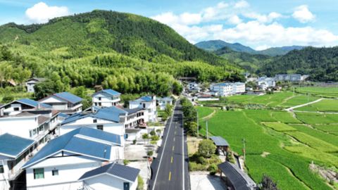 农村致富种植项目_尤溪农村种植致富_尤溪农家乐带动农民