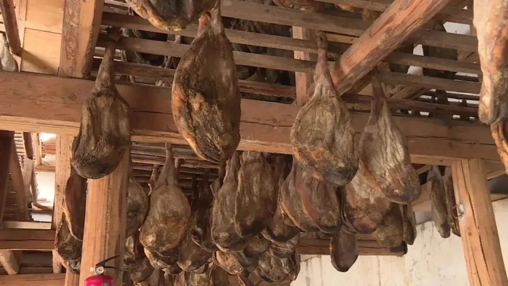 种豆养殖致富_致富经豆制品_致富豆养殖种子图片