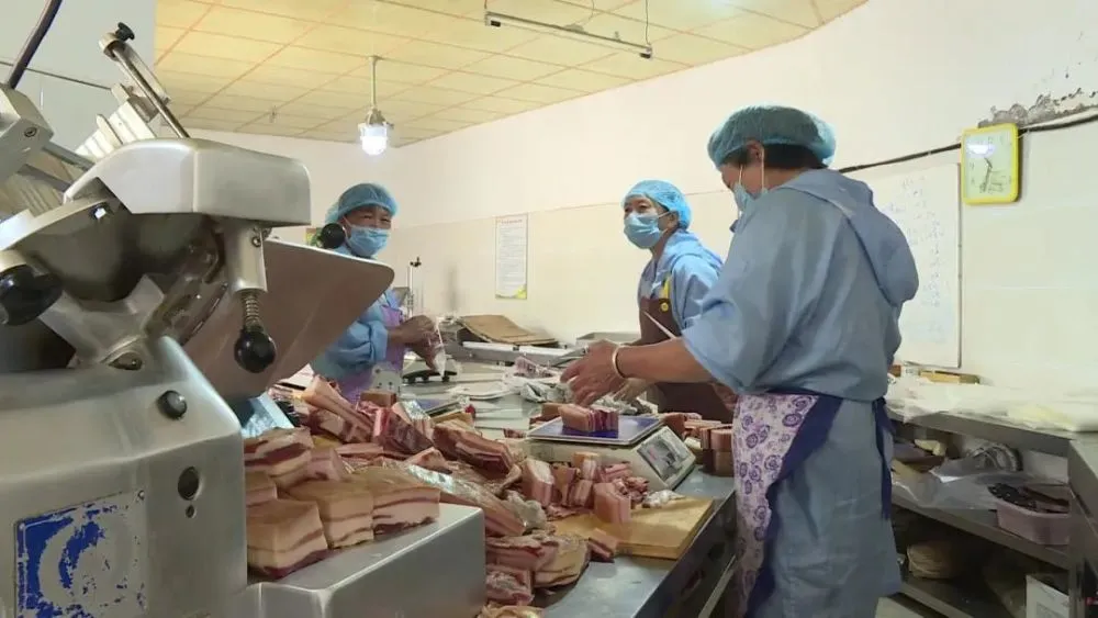 致富豆养殖种子图片_致富经豆制品_种豆养殖致富