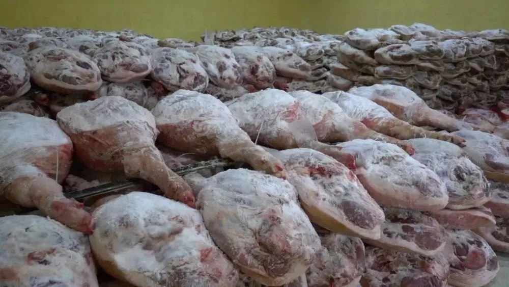 致富豆养殖种子图片_种豆养殖致富_致富经豆制品