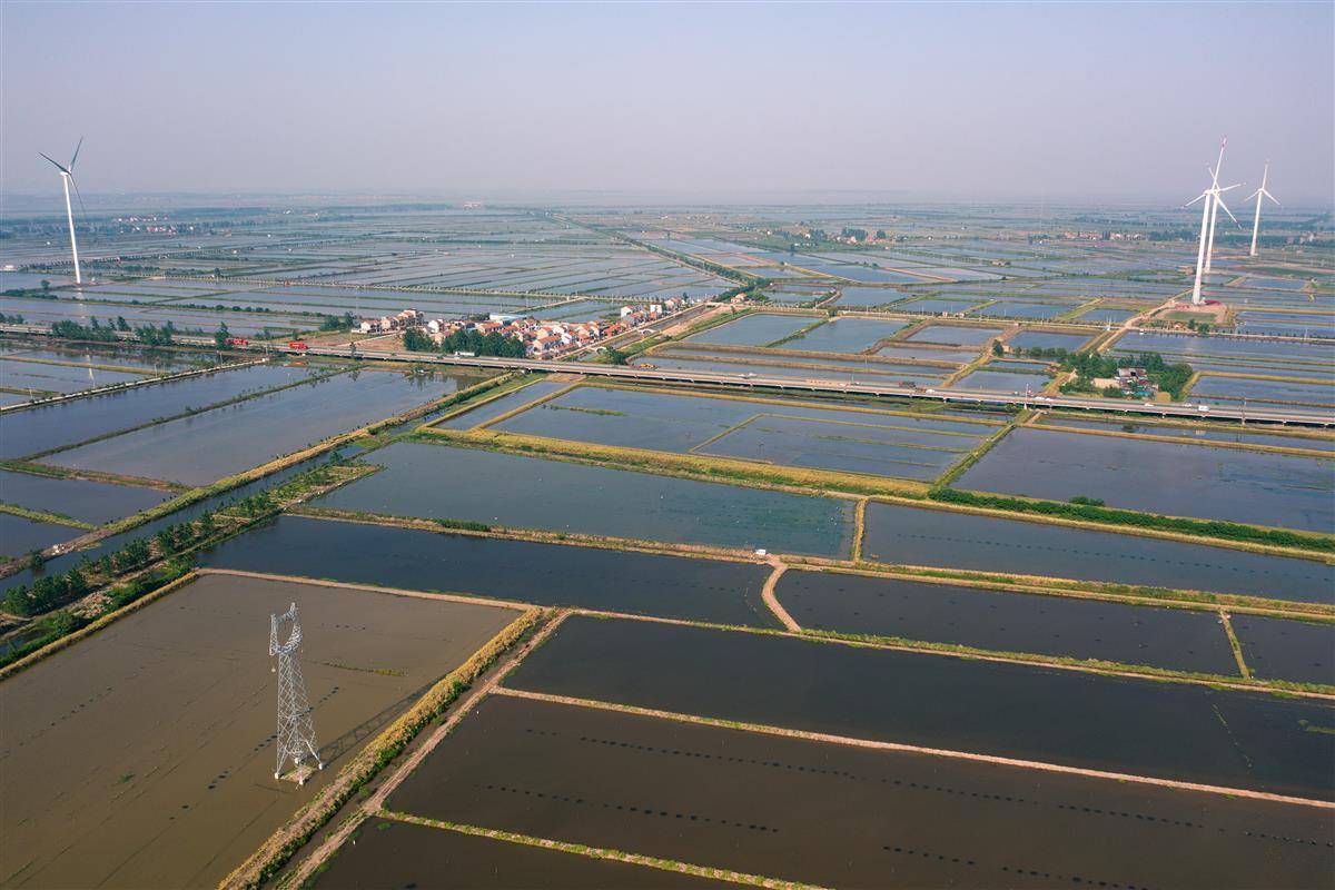 小龙虾养殖调水技术_龙虾养殖调水技术小结_龙虾养殖水温怎么控制