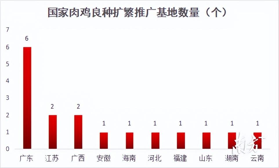 致富项目养鸡_致富新项目养鸡_养殖小白鸡致富