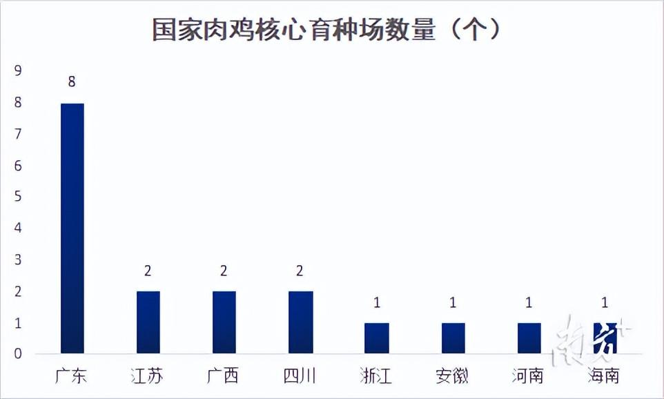 致富新项目养鸡_养殖小白鸡致富_致富项目养鸡