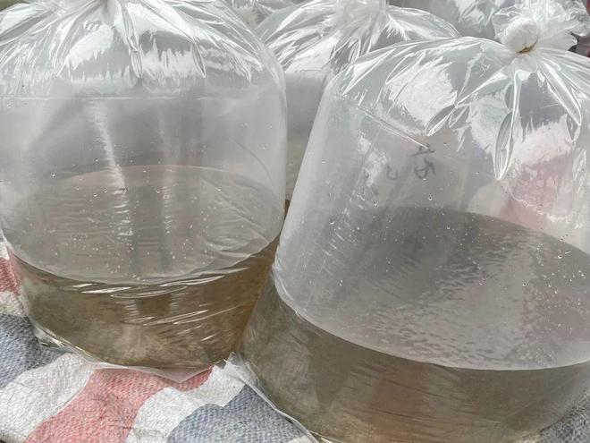 致富孵化养殖草鱼视频_致富孵化养殖草鱼好吗_致富经草鱼孵化养殖