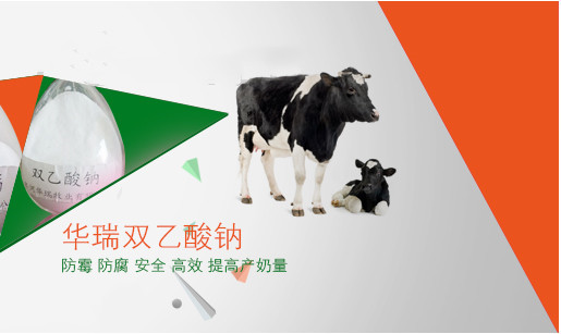 荷斯坦奶牛养殖成本_斯坦荷养殖奶牛技术怎么样_荷斯坦奶牛养殖技术