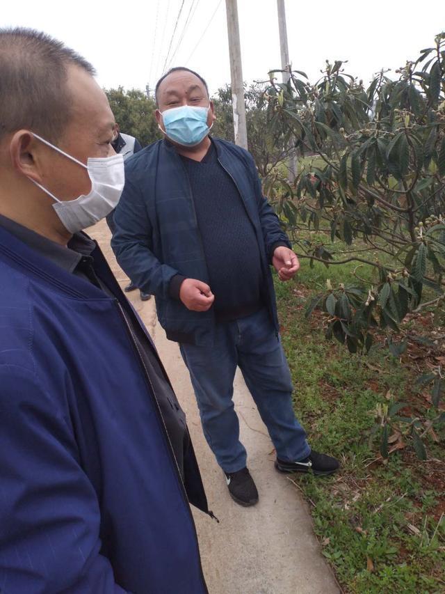 广西养牛视频全集_广西养牛杨远澄致富经_杨远澄养牛的公司