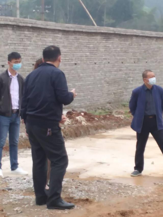 广西养牛视频全集_广西养牛杨远澄致富经_杨远澄养牛的公司