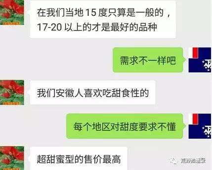 露天种甜瓜怎么搭架视频_露天甜瓜种植技术视频_露天爬地甜瓜种植