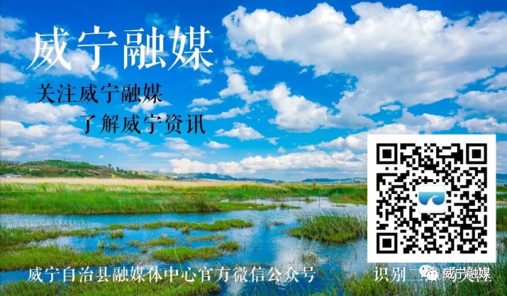 南宁种植辣椒致富_南宁辣椒苗_广西辣椒种植基地