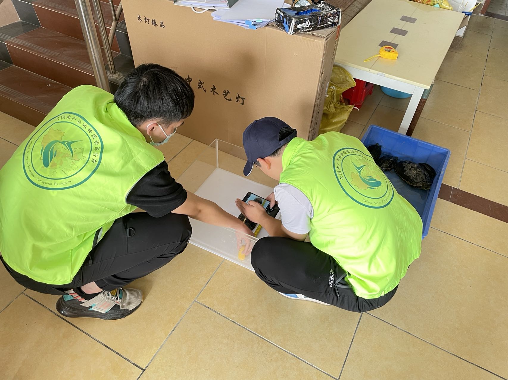 黄颡鱼养殖技术视频_科技苑黄颡鱼养殖视频_工厂式黄颡鱼养殖技术