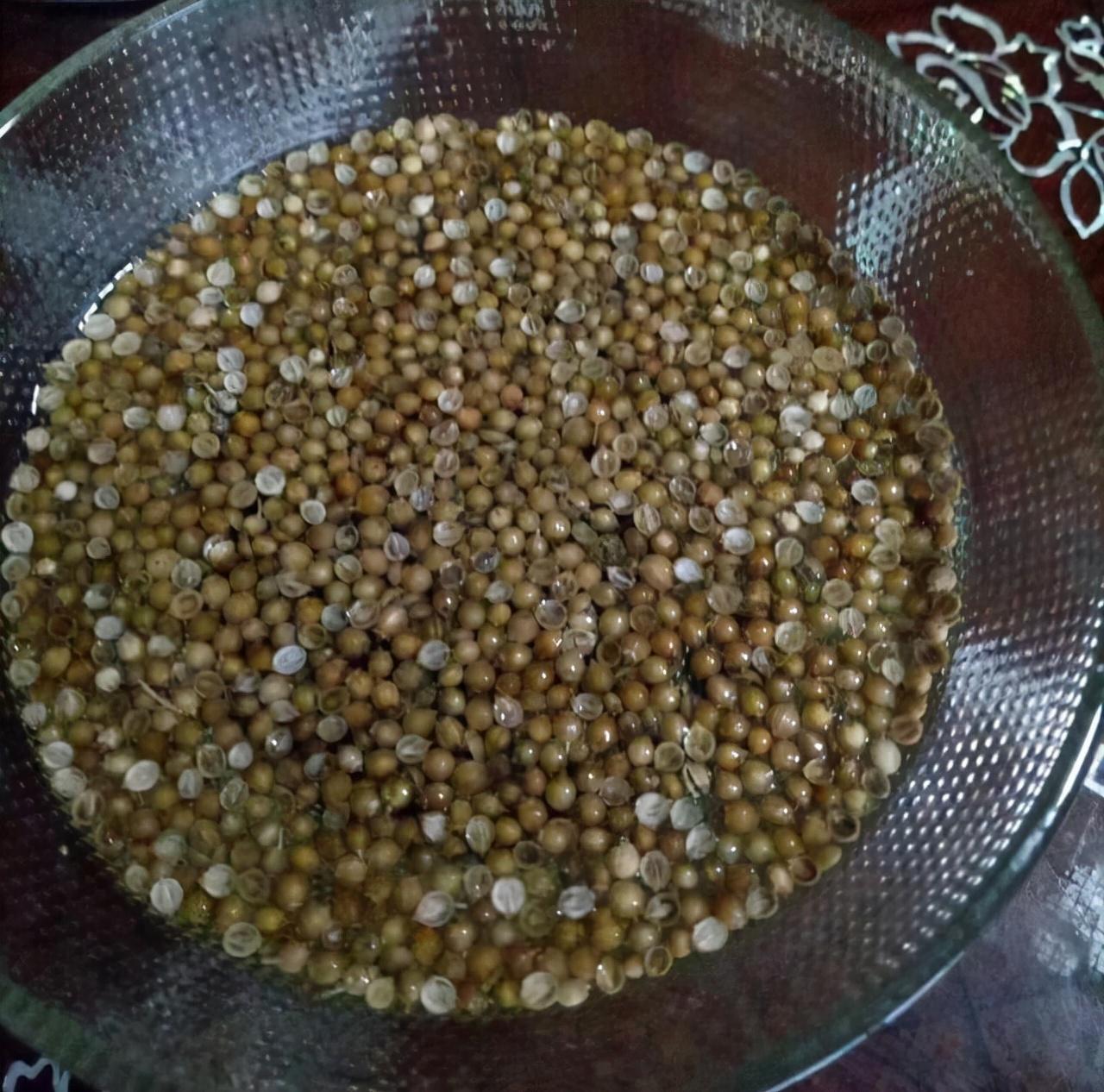 种植红苋菜技术视频_红苋菜种植技术_种植红苋菜技术与管理