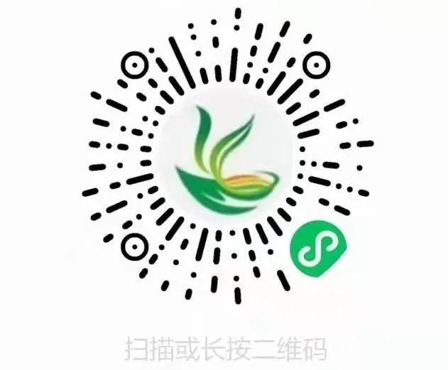 果农致富_花垣种植致富果_农村种植果树致富好项目