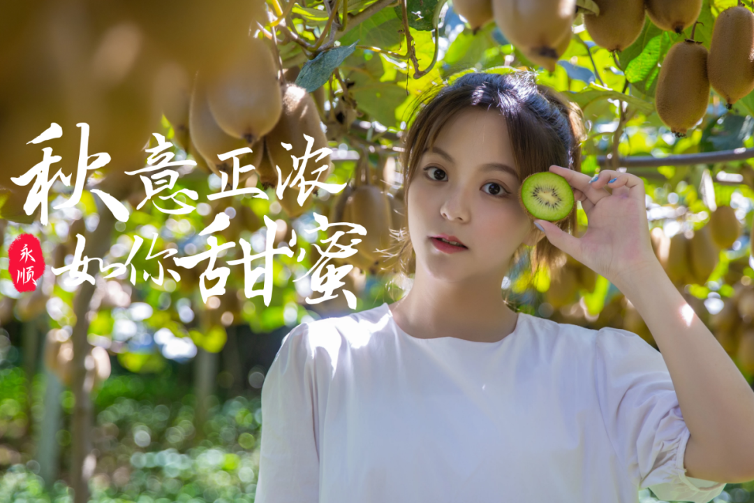 农村种植果树致富好项目_花垣种植致富果_果农致富