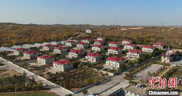 致富养殖羊行吗_致富养殖羊行动方案_养羊致富