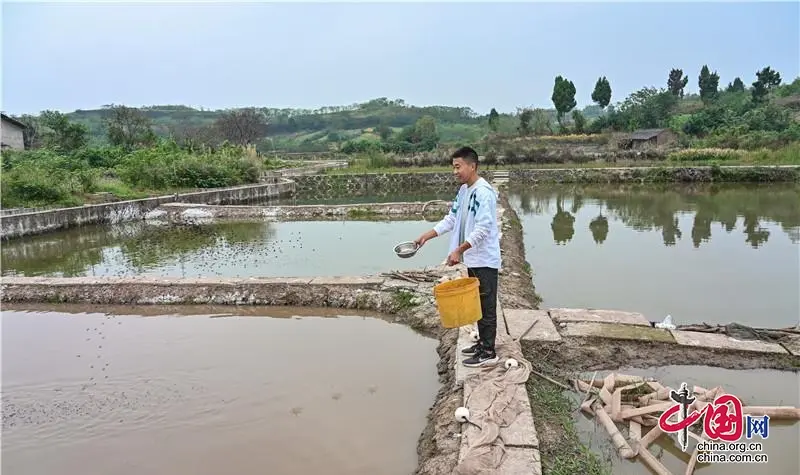 黑鱼养殖致富经_致富养殖黑鱼方法有哪些_黑鱼养殖致富方法