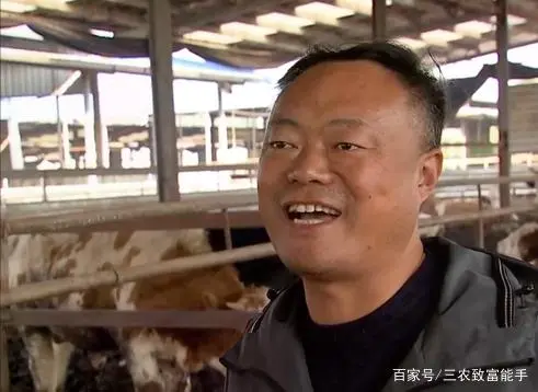 大叔零经验创业养牛，靠坚持和诚信，销售额过亿成养殖界的牛人！