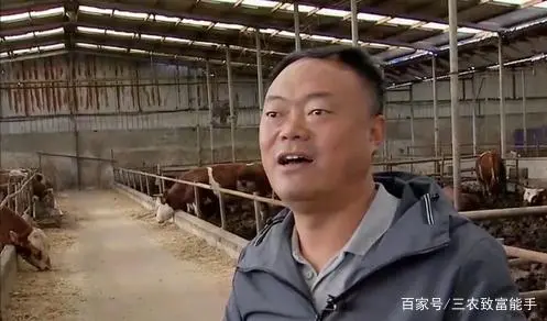 农村创业致富商机网养殖_养殖致富商机_商机好项目养殖业