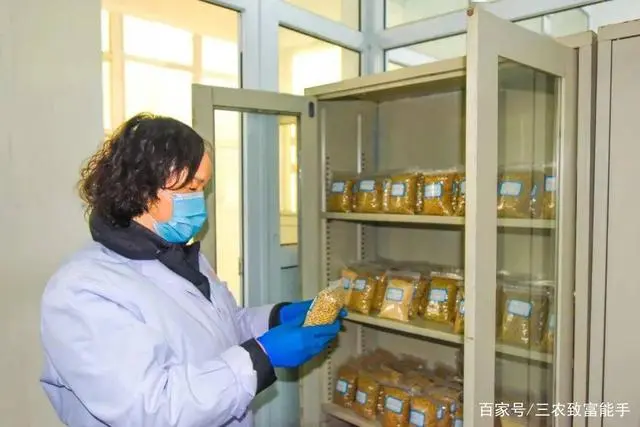商机好项目养殖业_养殖致富商机_农村创业致富商机网养殖