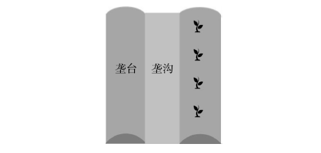 农作物种植技术员_农植物种植技术_农业种植技术支持