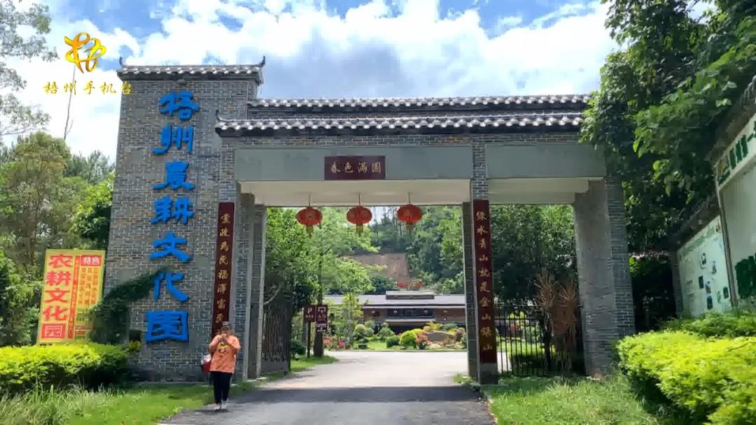 【决战决胜脱贫攻坚】在山林中发展特色项目，他带领村民走出一条脱贫致富好路子……
