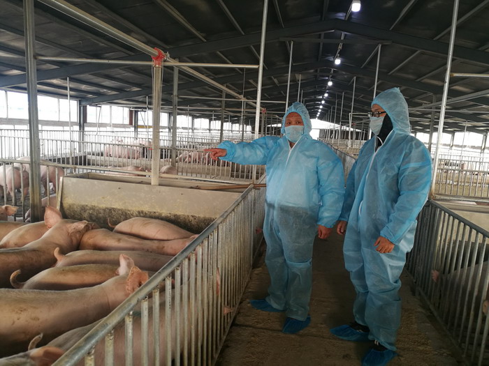 阜阳种什么果树好_适合阜阳种植的经济作物_阜阳致富果种植