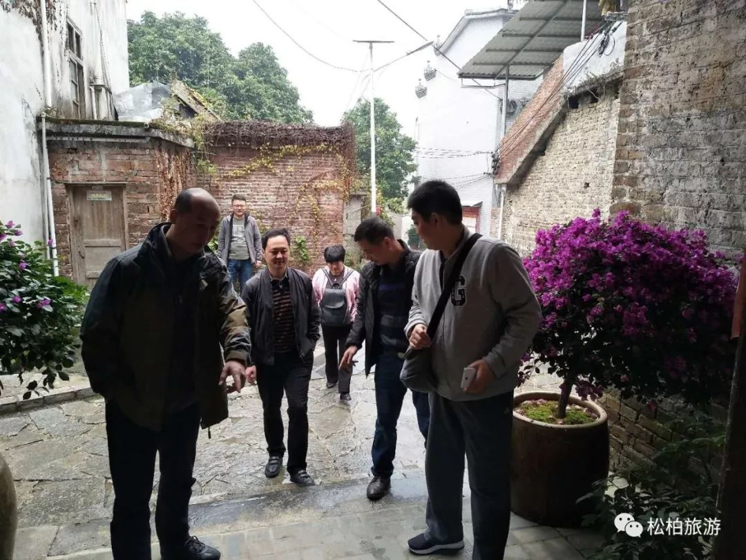 竹笋致富经_水竹笋致富经_致富经竹笋致富视频