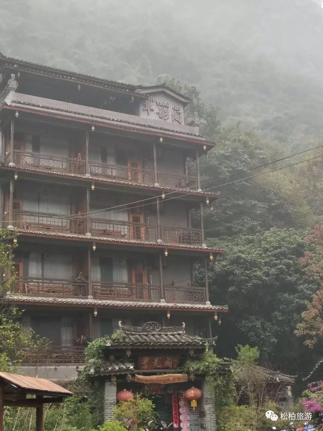 致富经竹笋致富视频_水竹笋致富经_竹笋致富经