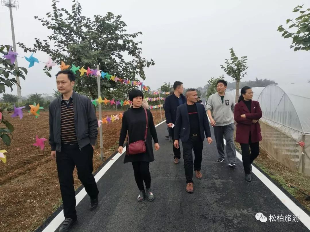 水竹笋致富经_致富经竹笋致富视频_竹笋致富经