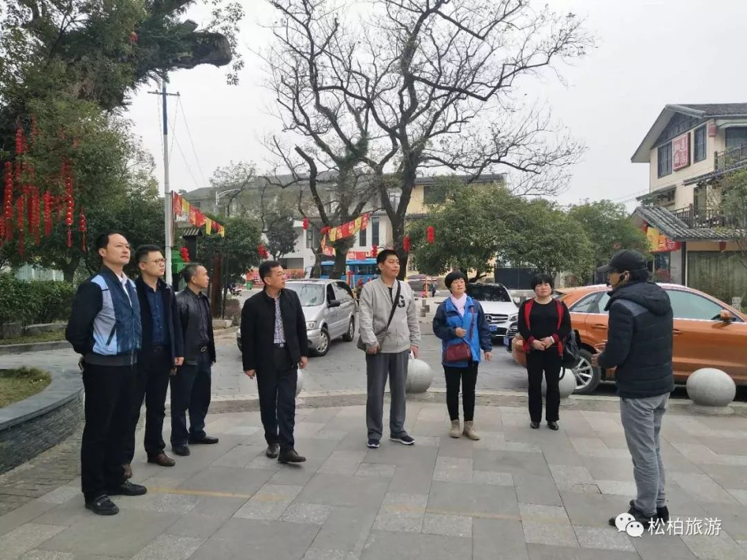 竹笋致富经_致富经竹笋致富视频_水竹笋致富经