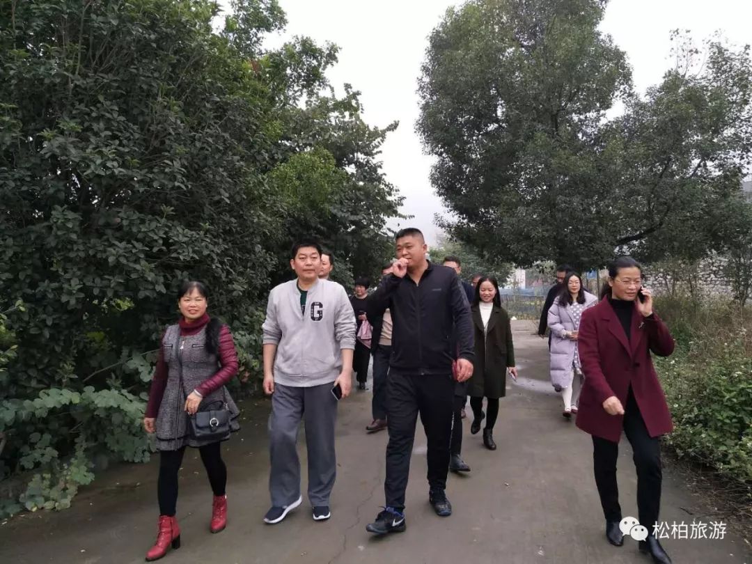 竹笋致富经_水竹笋致富经_致富经竹笋致富视频