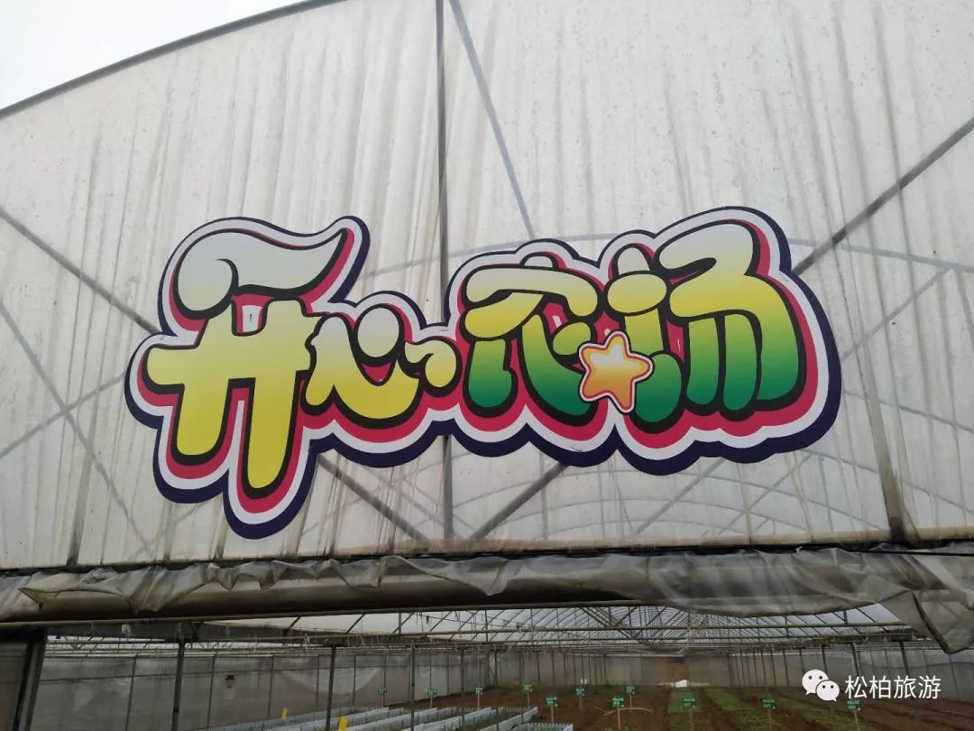 水竹笋致富经_竹笋致富经_致富经竹笋致富视频