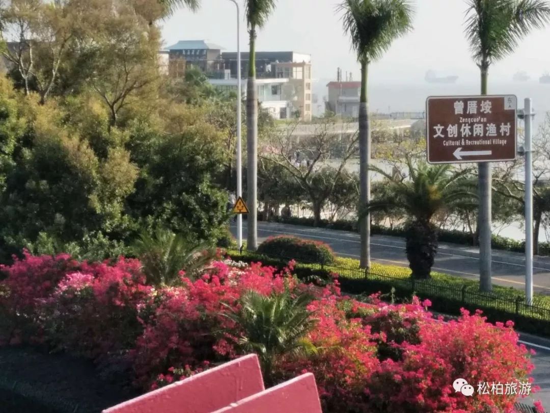 水竹笋致富经_致富经竹笋致富视频_竹笋致富经