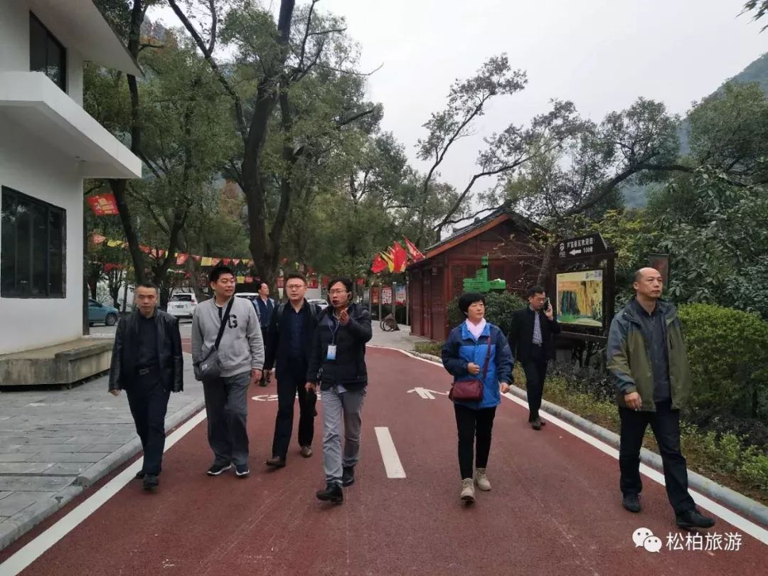 水竹笋致富经_致富经竹笋致富视频_竹笋致富经