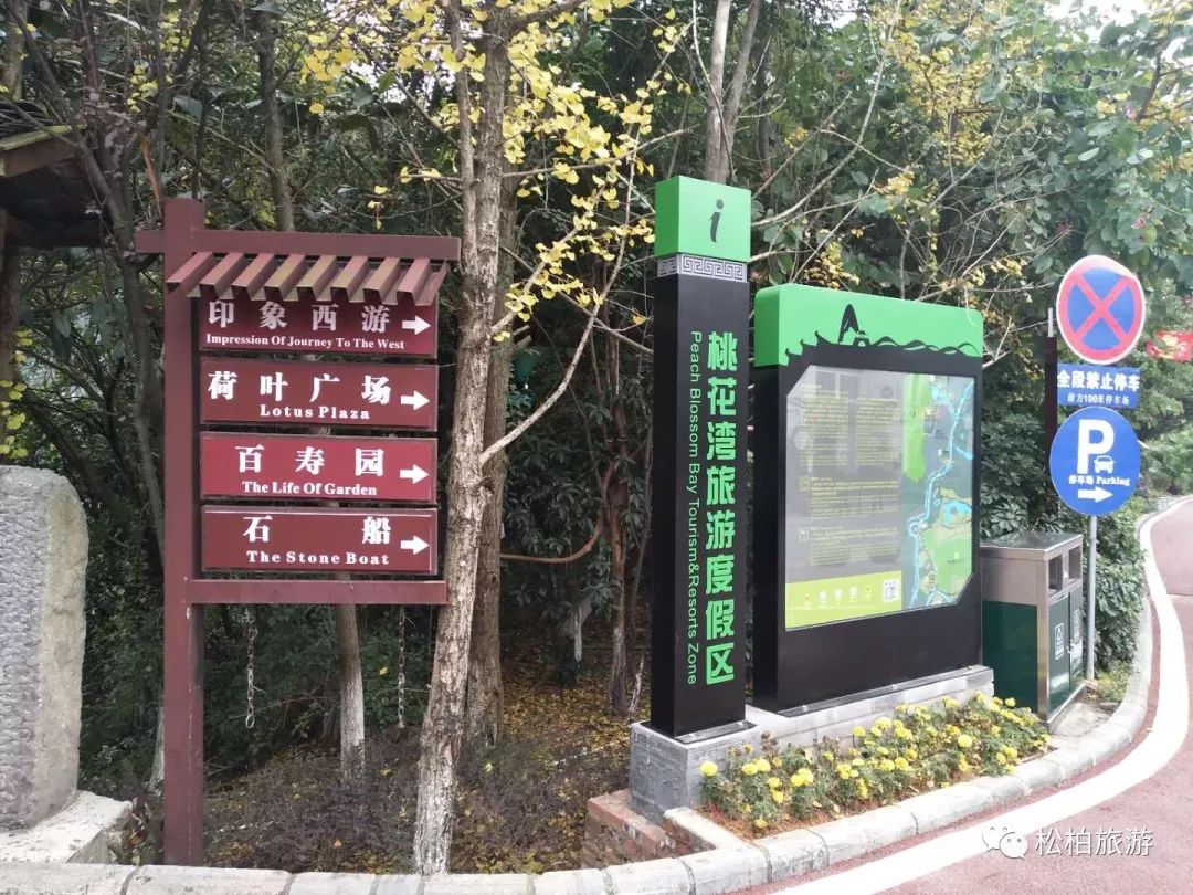 致富经竹笋致富视频_水竹笋致富经_竹笋致富经