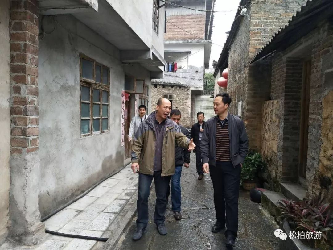 致富经竹笋致富视频_水竹笋致富经_竹笋致富经