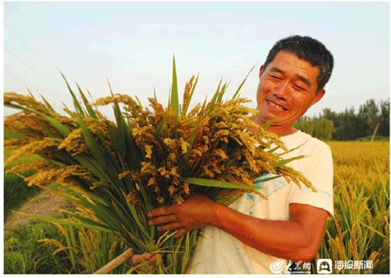 龙虾养殖致富教科书_致富经龙虾养殖_致富龙虾养殖教科书