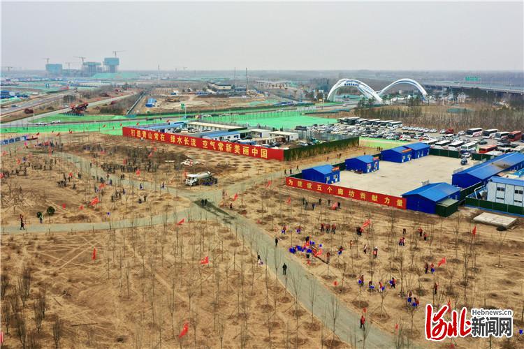 从数量扩张加速迈向优质高效——看廊坊市“十四五”开局之年造林绿化之变