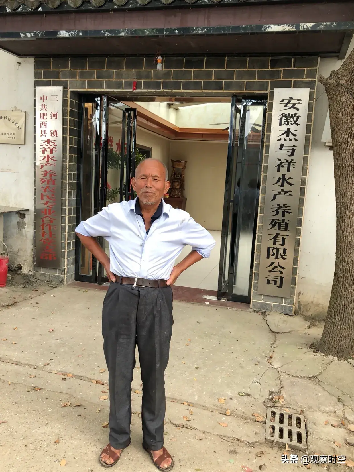 沙鳖养殖的场地_养殖沙鳖致富_致富养殖沙鳖视频