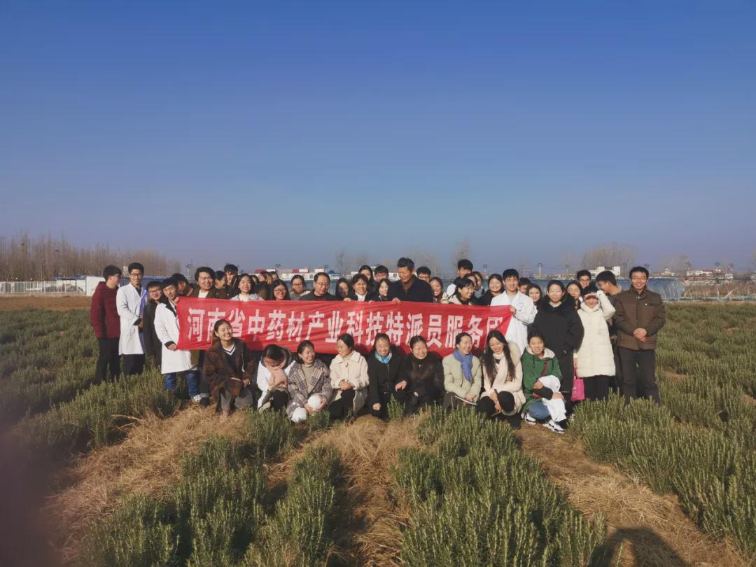 种植中药致富_中药种植赚钱_致富药材种植