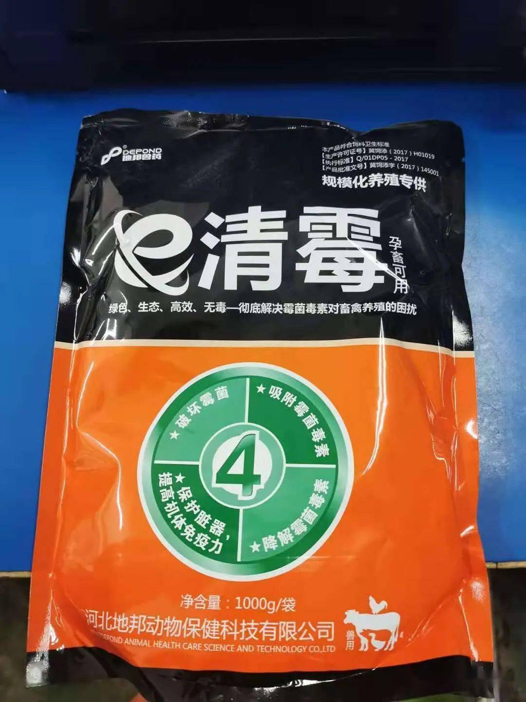 母牛养殖致富视频_视频致富养殖母牛是真的吗_养殖繁育母牛致富案例