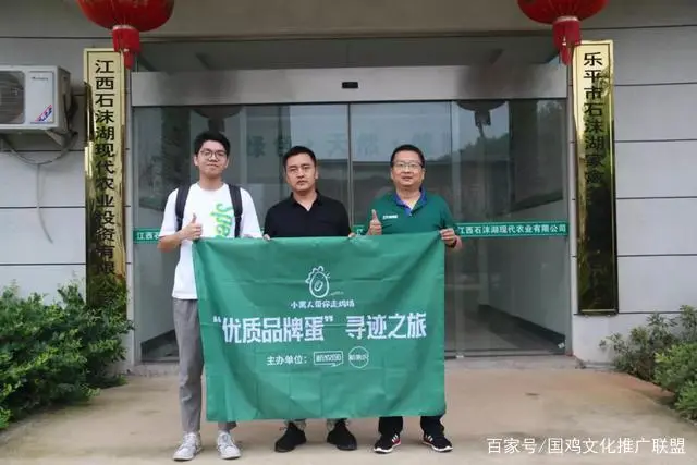 江西石沫湖：行情差也要养好鸡，立志打造百万羽蛋鸡企业