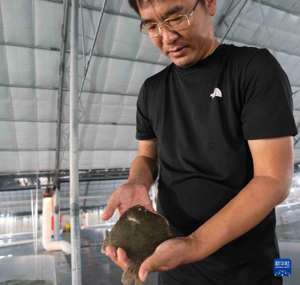 河北养殖业什么最赚钱农村_河北农村养殖什么赚钱_河北养殖什么致富